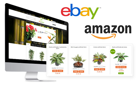 MarketPlace Manager eBay Amazon