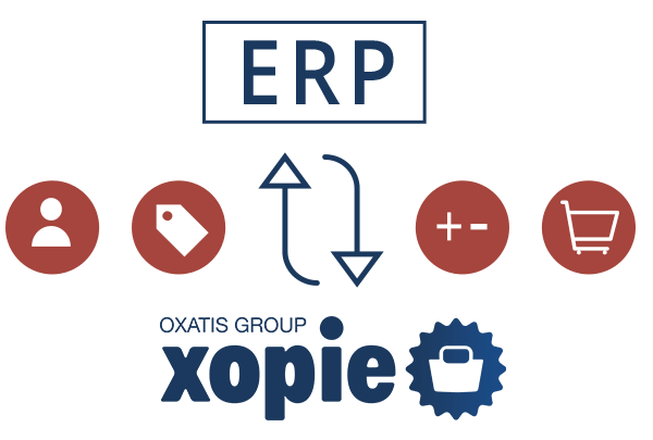 Vender por internet ERP